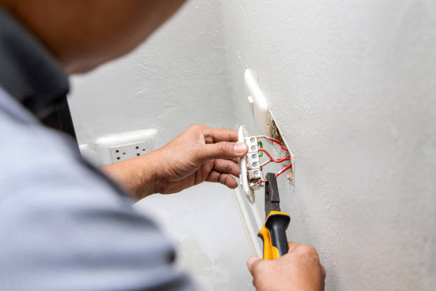 Best Electric Panel Repair  in Walhalla, SC